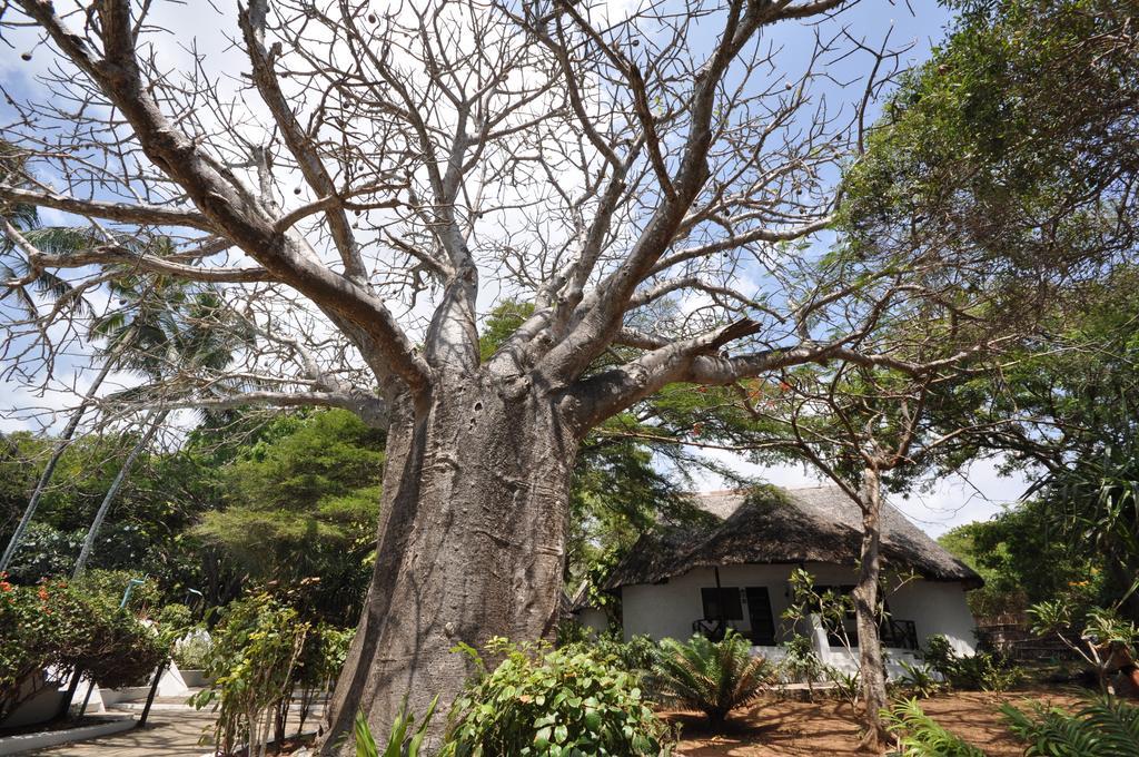 Baobab Sea Lodge Кіліфі Екстер'єр фото